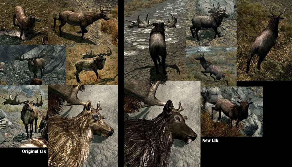  Skyrim     