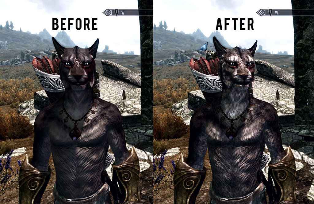  Skyrim HD   