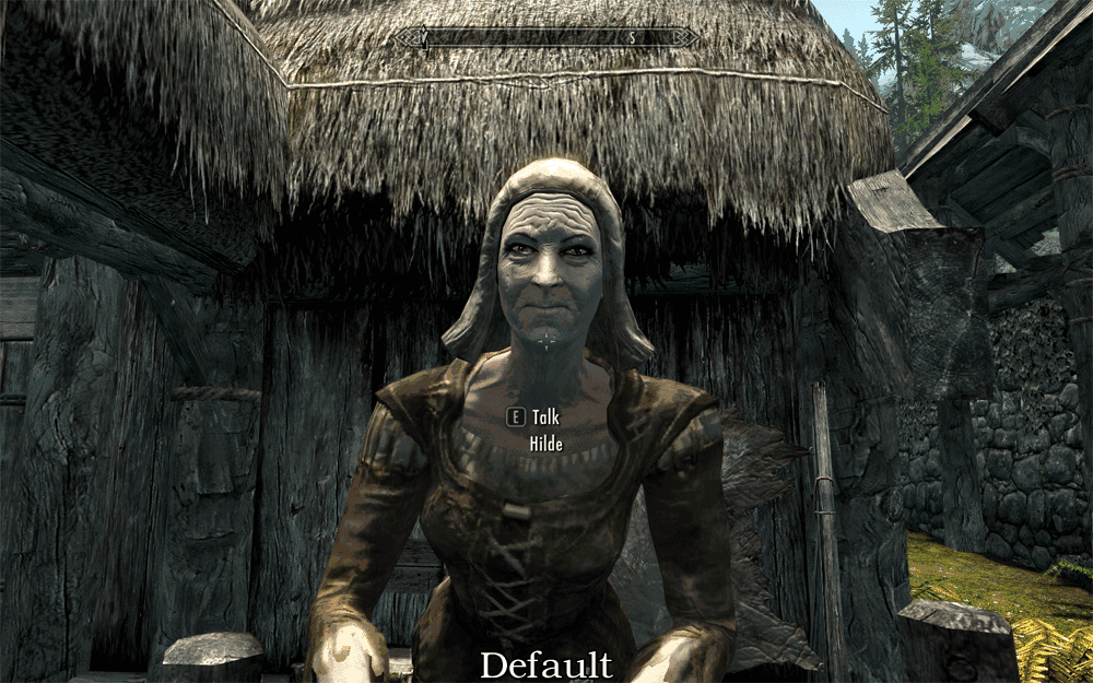  Skyrim      npc