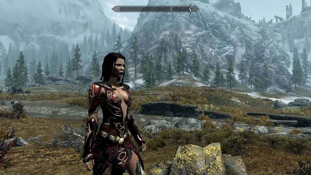  Skyrim      