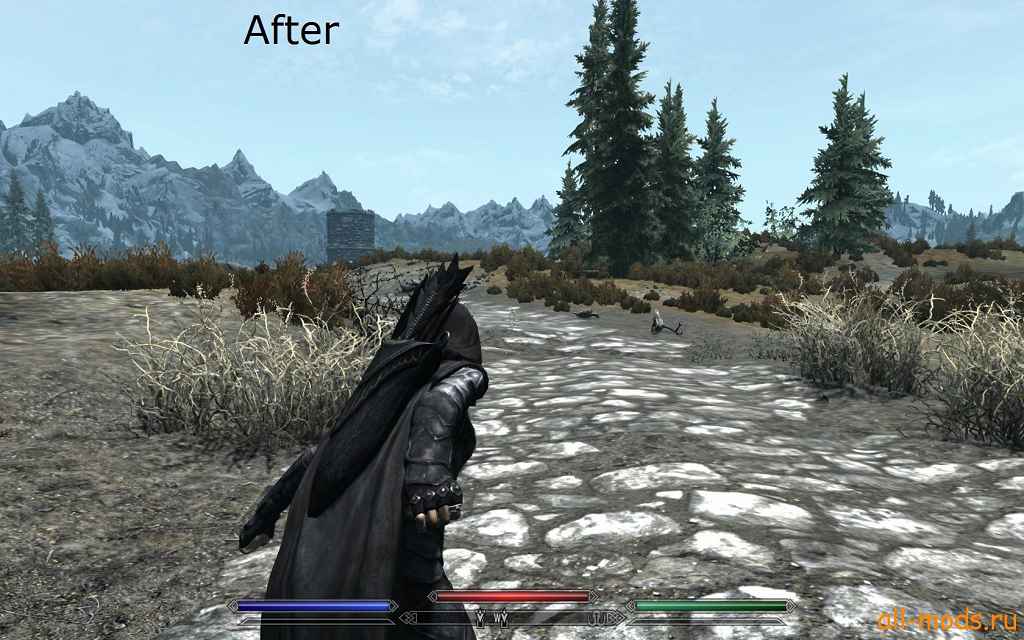 Skyrim    