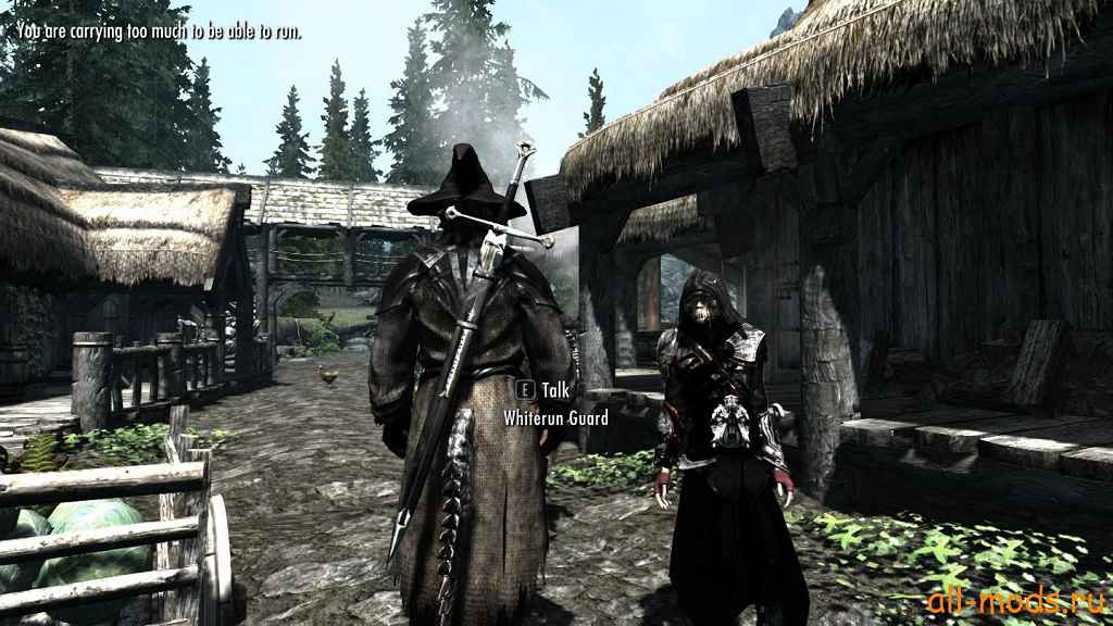  Skyrim     