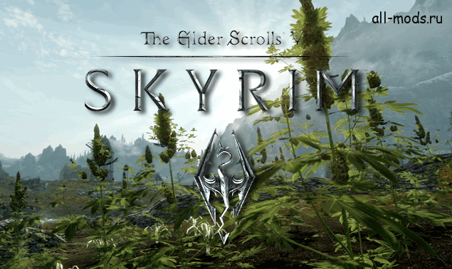  Skyrim      