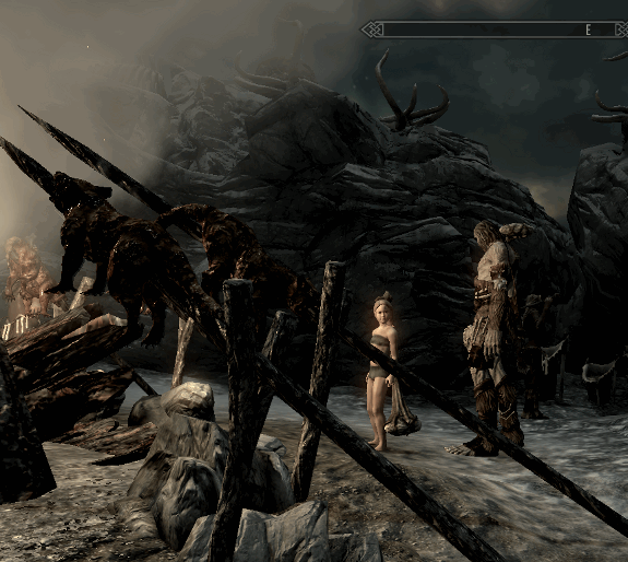  Skyrim   