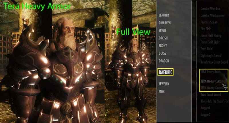  Skyrim     TERA  Online