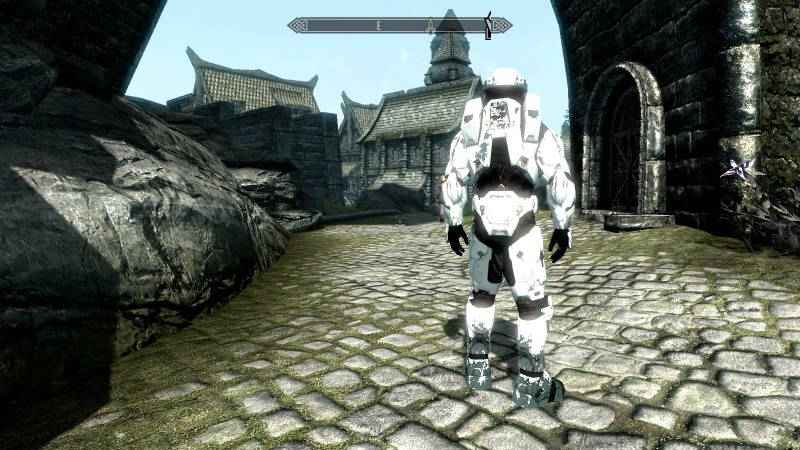  Skyrim     Halo