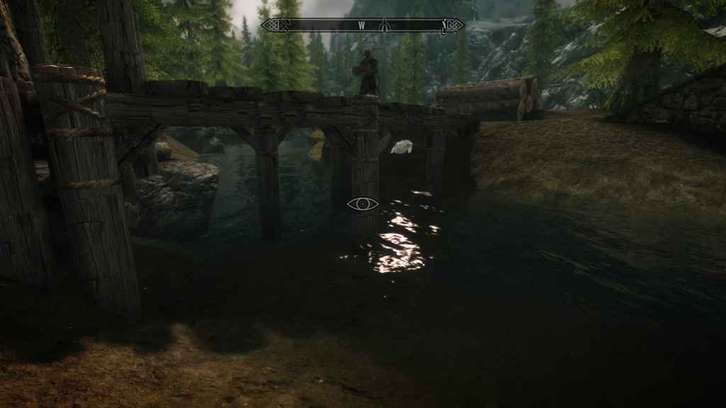  Skyrim   