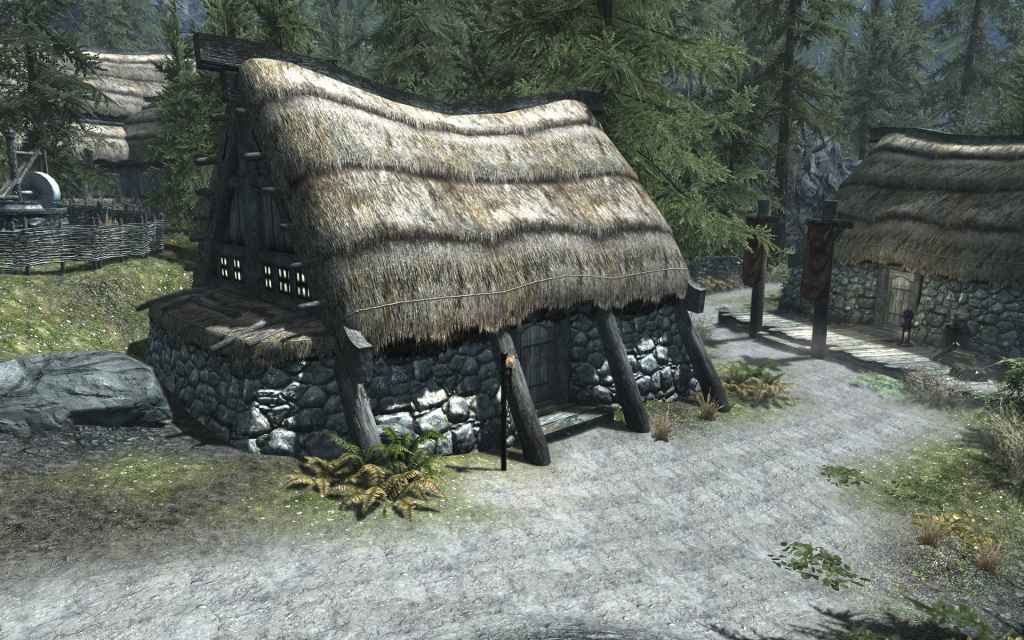  Skyrim       