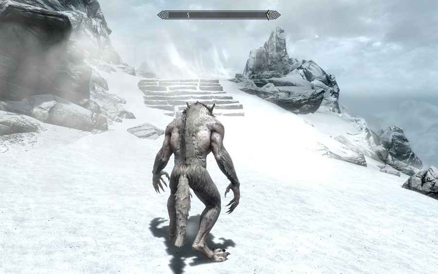  Skyrim   