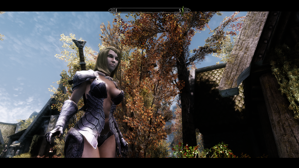  Skyrim  Tera Online     (UNP)