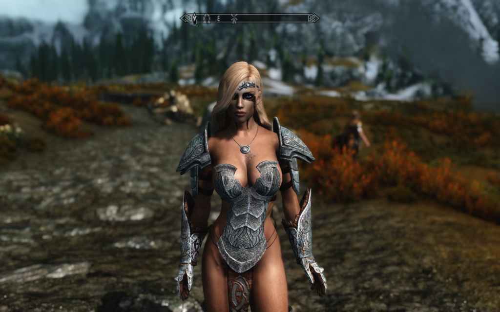  Skyrim    