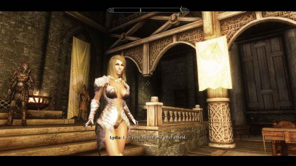  Skyrim      TERA Online (UNP)