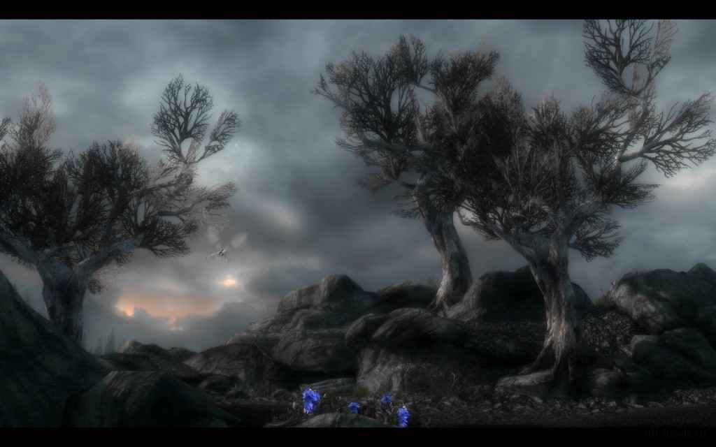  Skyrim   ENB