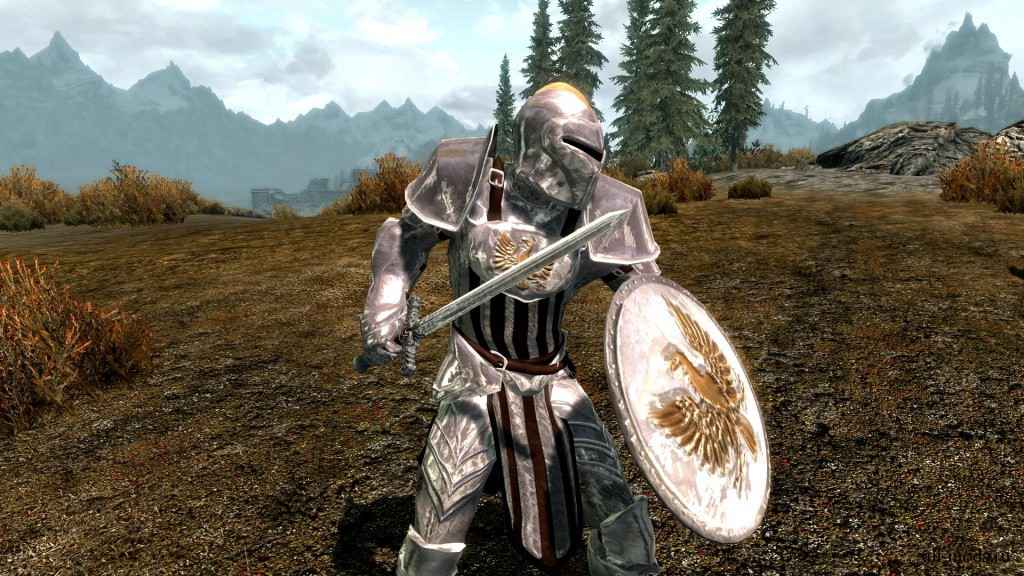  Skyrim    