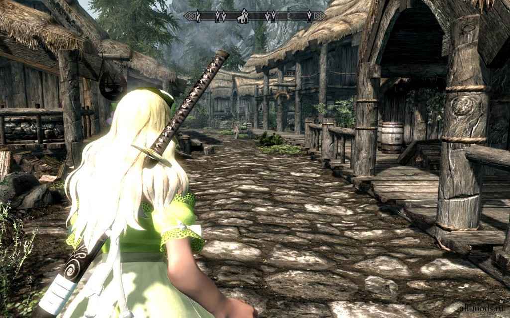  Skyrim      (CBBE)