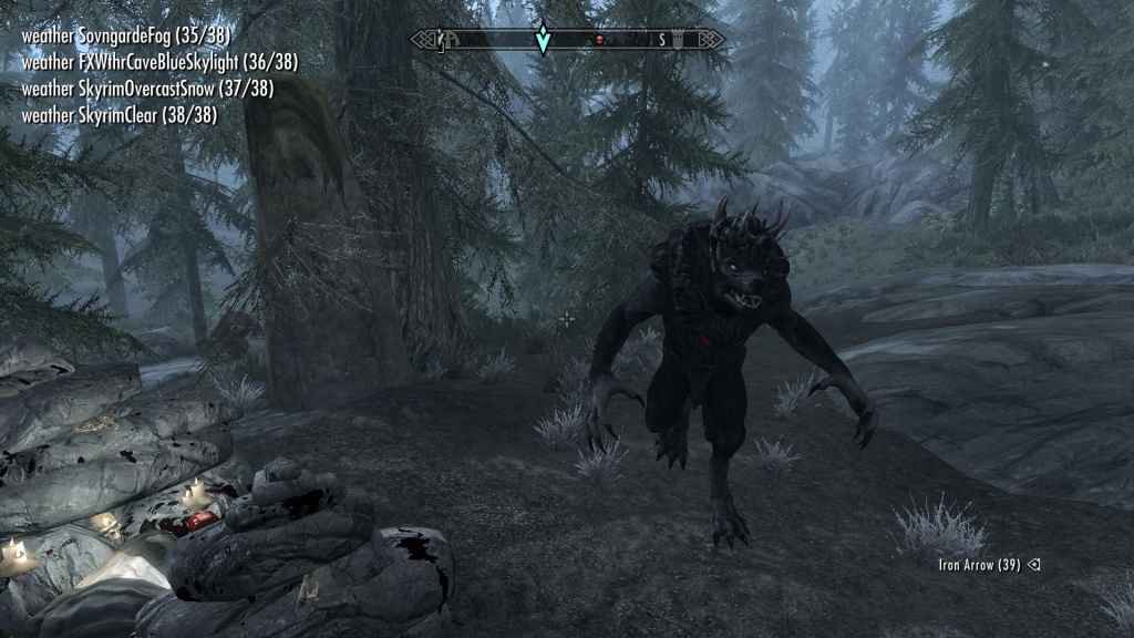  Skyrim   