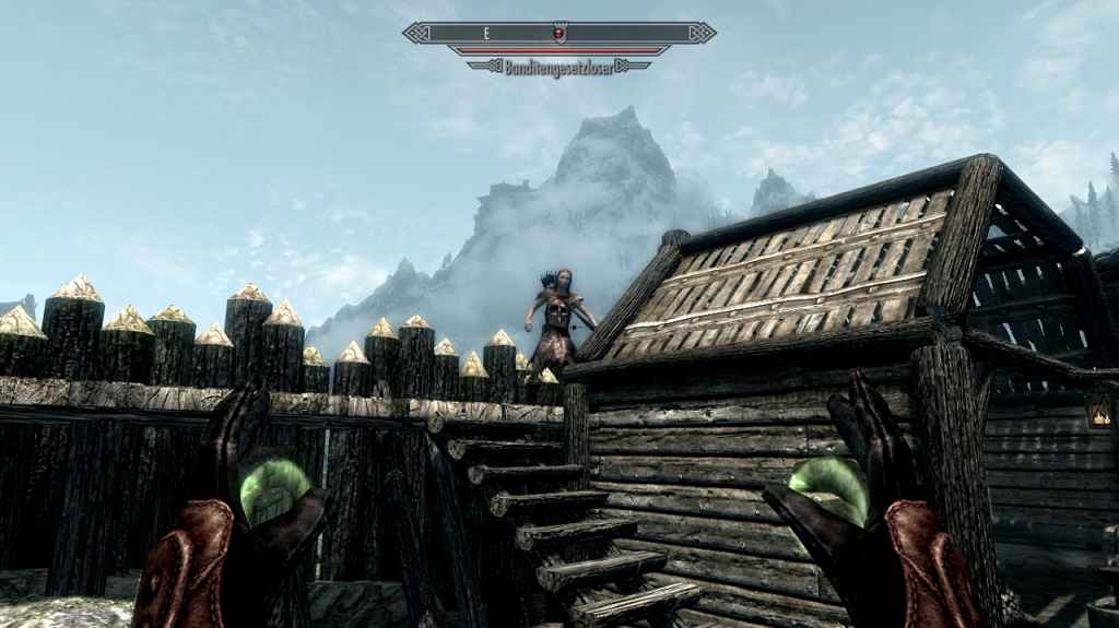  Skyrim  5   