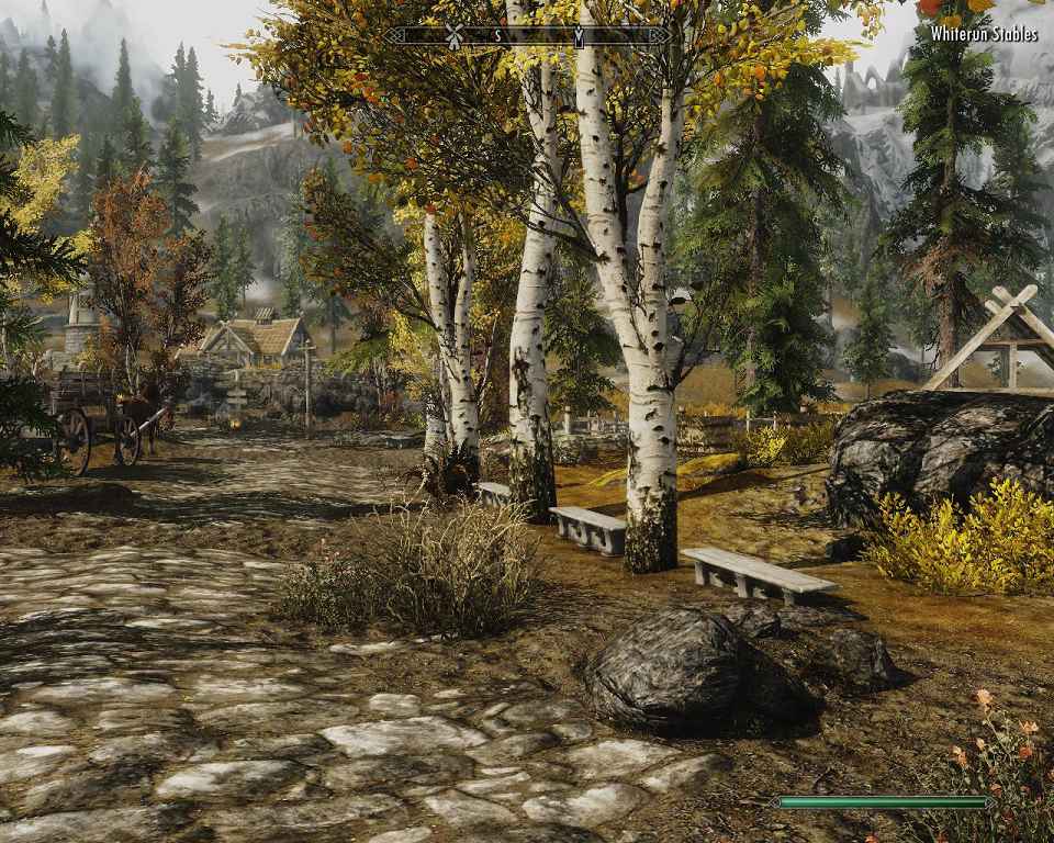 Skyrim    