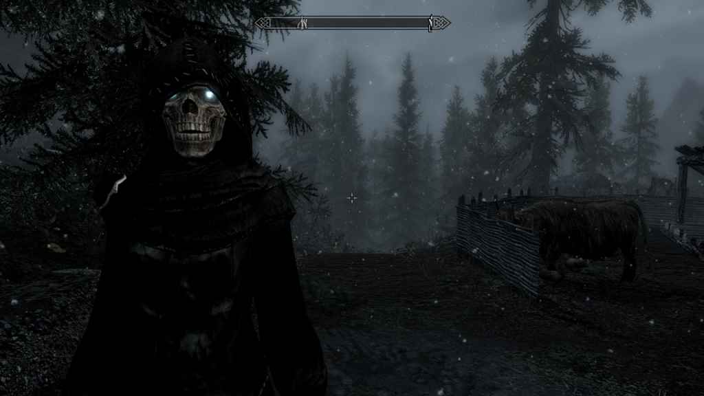 Skyrim   