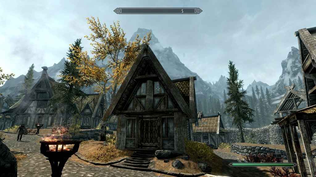  Skyrim     