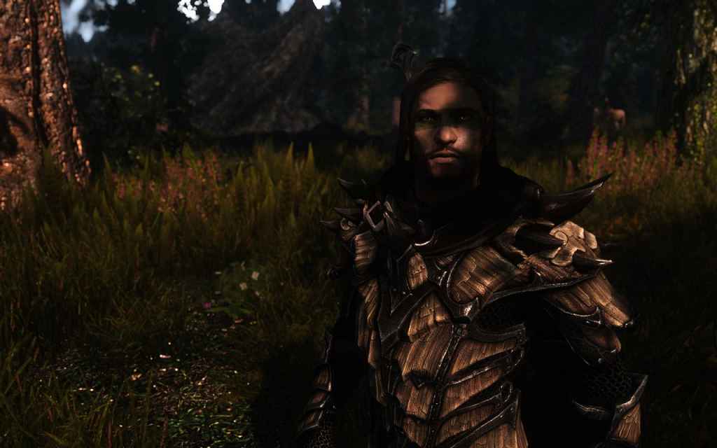 Skyrim  Nordic ENB