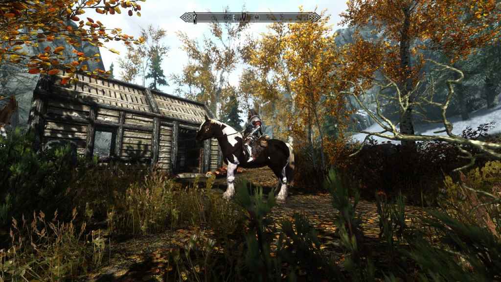 Skyrim  ENB  Authentik