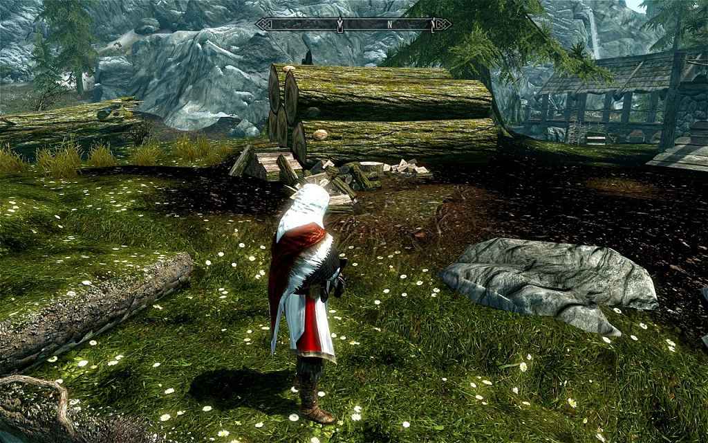 Skyrim       Assassins Creed