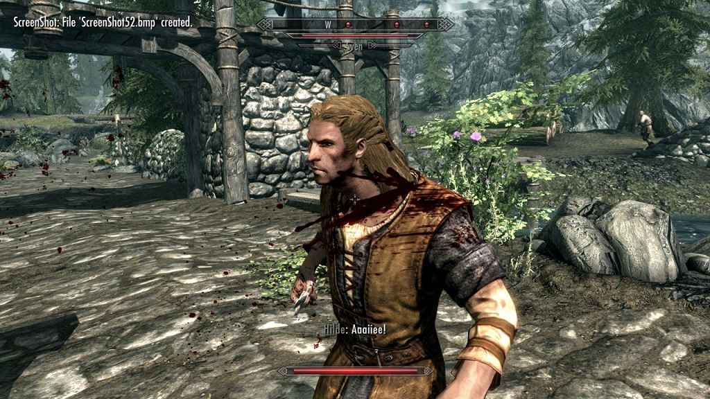  Skyrim     NPC