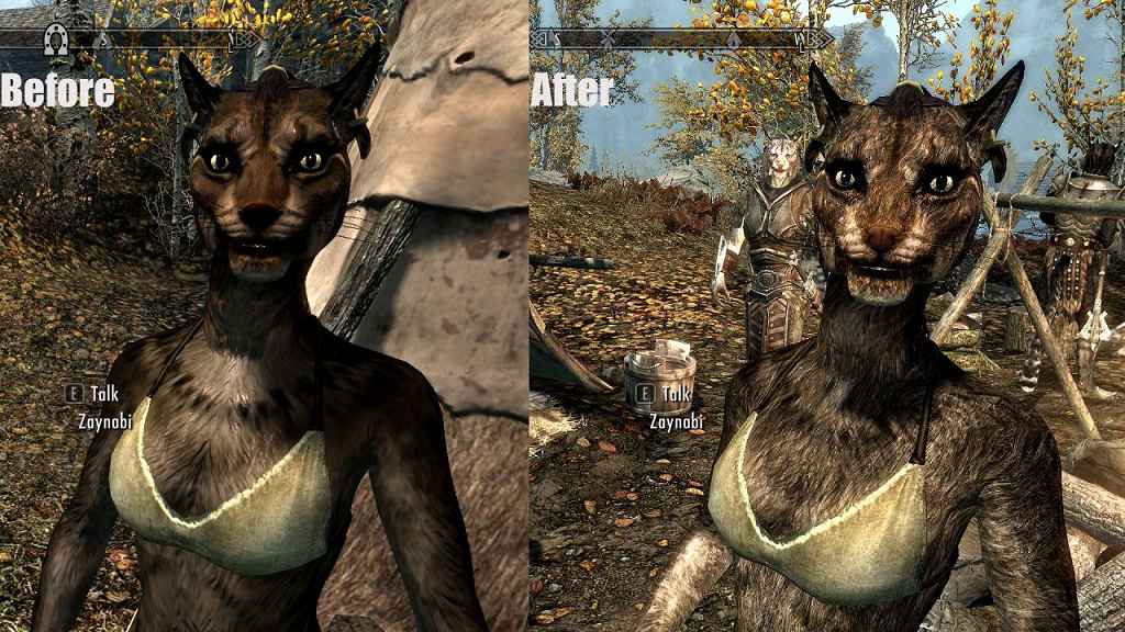  Skyrim  NEW Beast Races