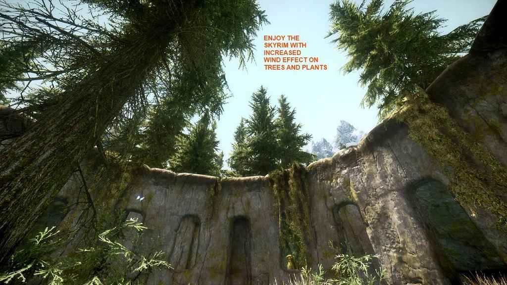  Skyrim   