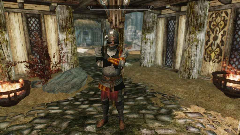 Skyrim    (The Witcher 2)