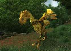  Oblivion  Chocobo  Final Fantasy