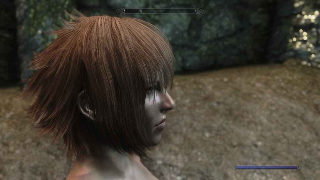  Skyrim    ApachiiSkyHair