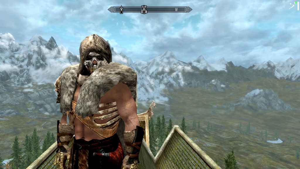 Skyrim   