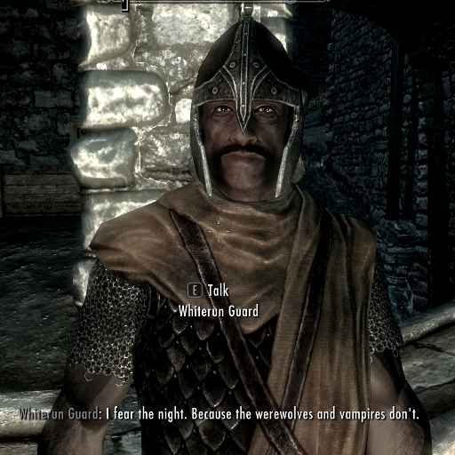  Skyrim  Guard Dialogue Overhaul