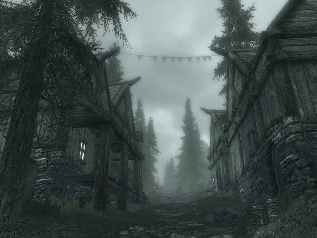  Skyrim     