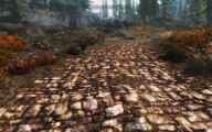 skyrim-hd-tekstury-dlya-dorog-i-mostov 5