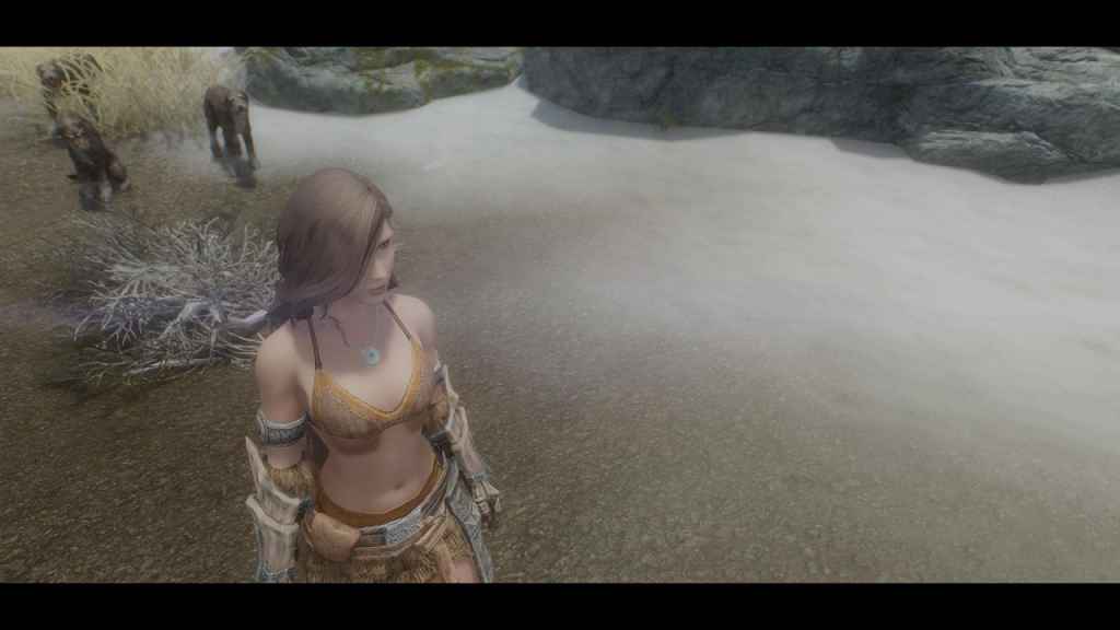 Skyrim  HD    (Dragonborn)