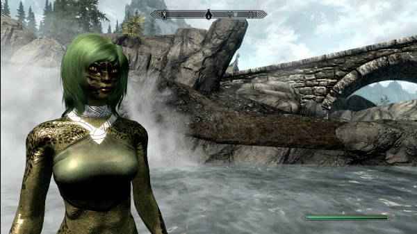  Skyrim    