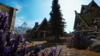 skyrim-uluchshennyj-vajtran 2