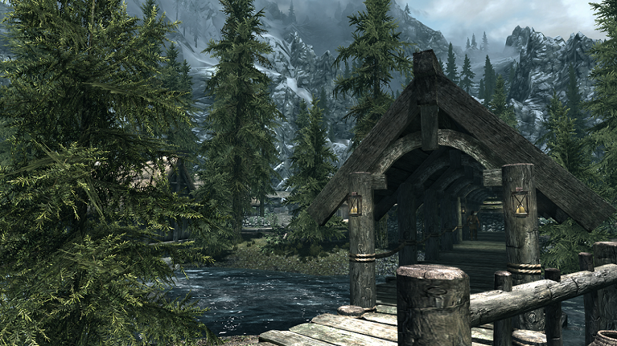  Skyrim   