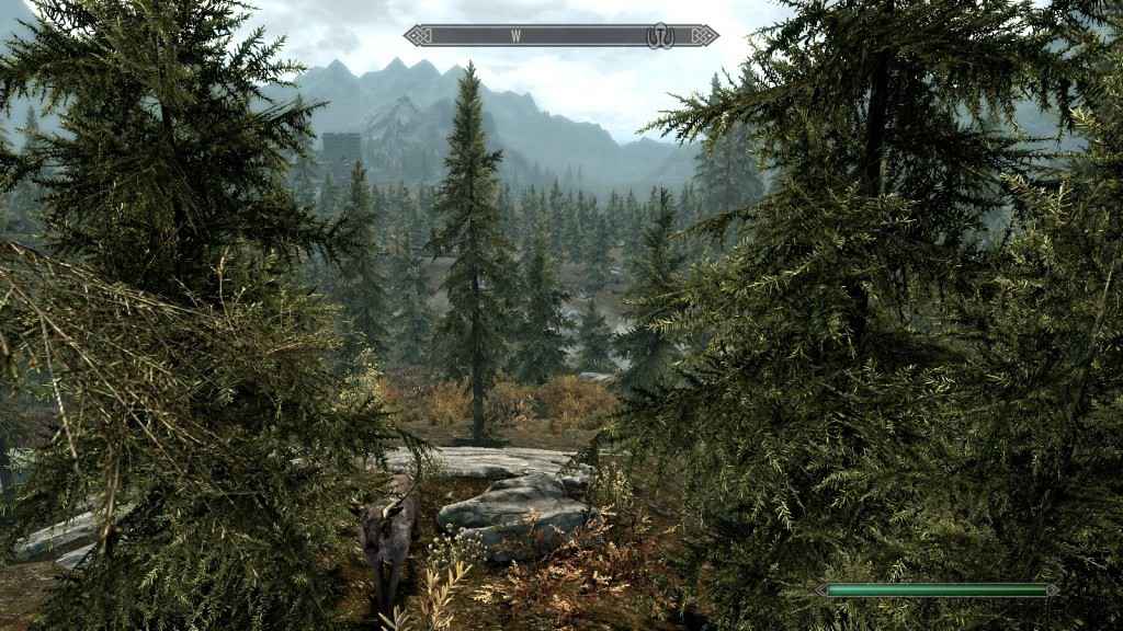 Skyrim   