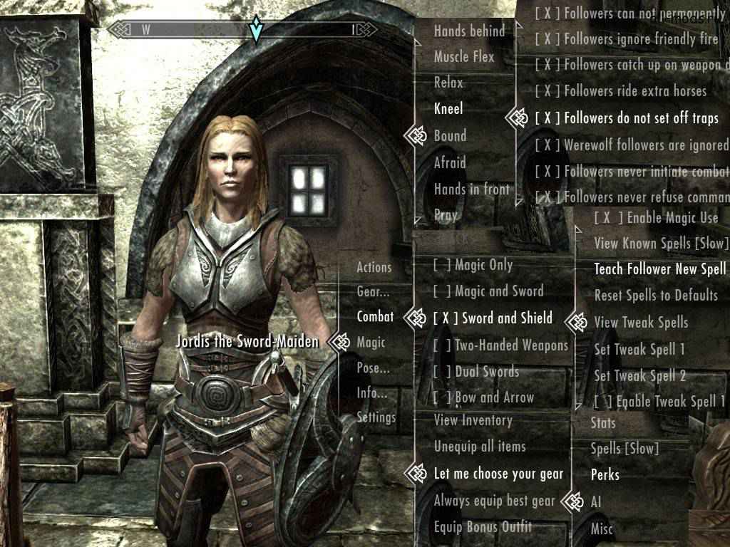 Skyrim       (RUS) / Amazing Follower Tweaks (AFT)