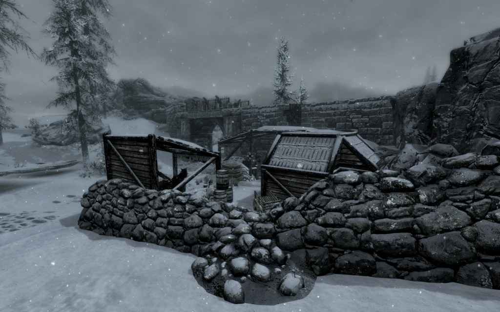  Skyrim   