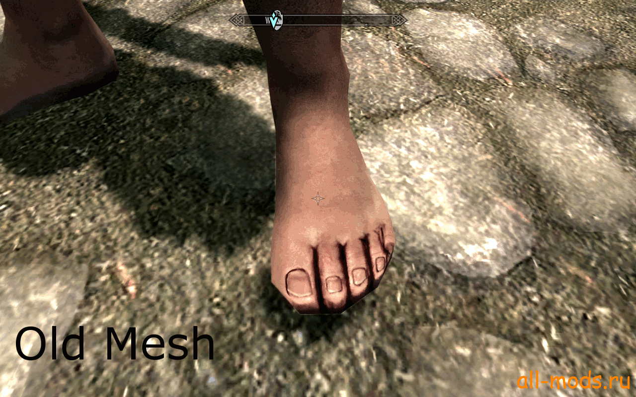 Skyrim        / FemFeet