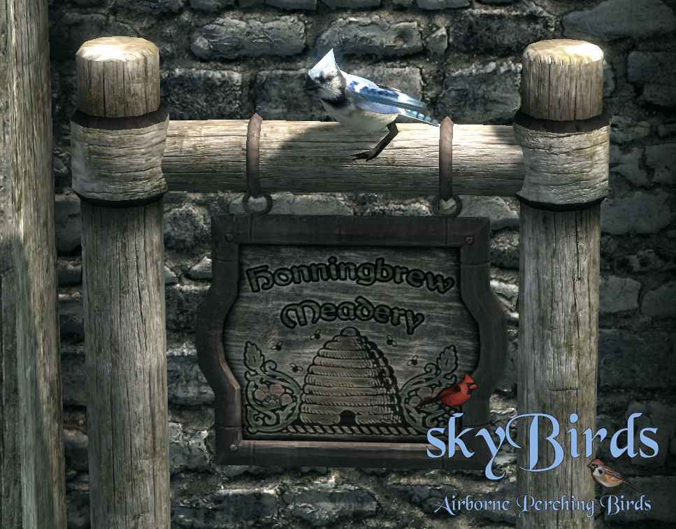  Skyrim   