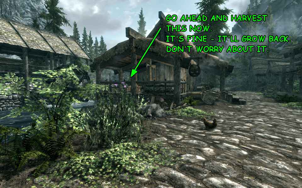 Skyrim    