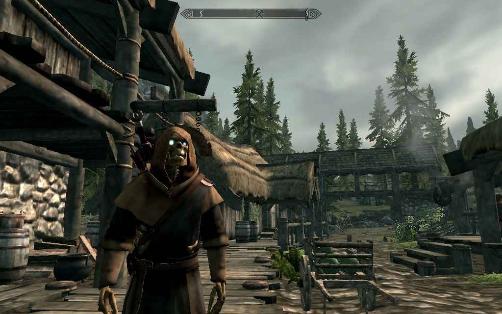 Skyrim    