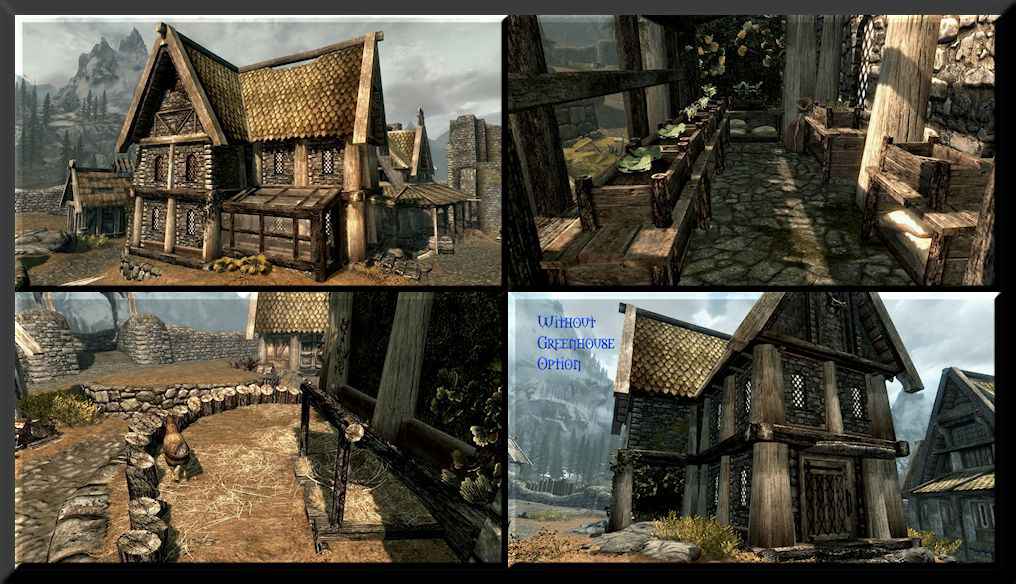  Skyrim      ( )  