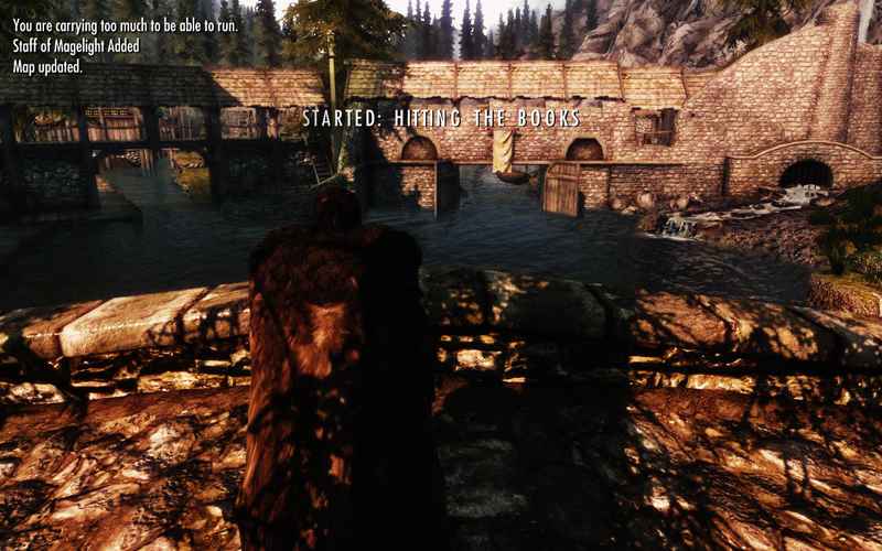 Skyrim   